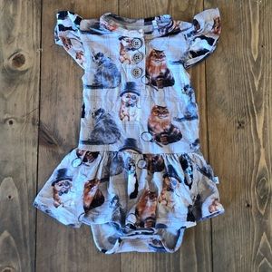 Posh Peanut Cat Twirl 3-6 months